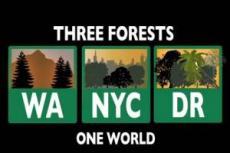 Tres Bosques Un Mundo Three Forests One World